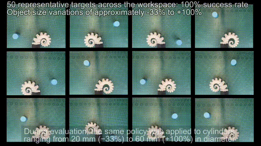 Whole-body soft robotic grasping with SpiRob